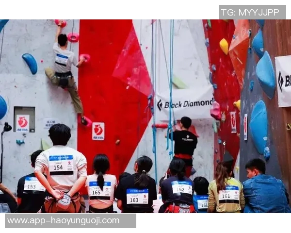 实时新闻聚焦攀岩运动上海攀岩队展现团队力量与拼搏精神